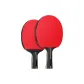 Double Fish Kirin Wood, Penhold Grip+Shakehand Grip[Double Rackets]+Racket Cover 1+Ball 12