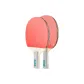 2-Star, Shakehand Grip+Penhold Grip (Gray Controller)+Racket Bag 2+Ball 6+Sandpaper+Protective Film