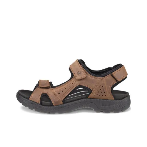 Ecco Beach Sandals Men Brown
