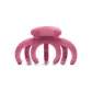 Fuchsia Tubas Claw Clip