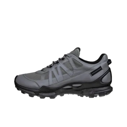 Ecco Biom C Trail Low-Top Casual Shoes Men's Gray