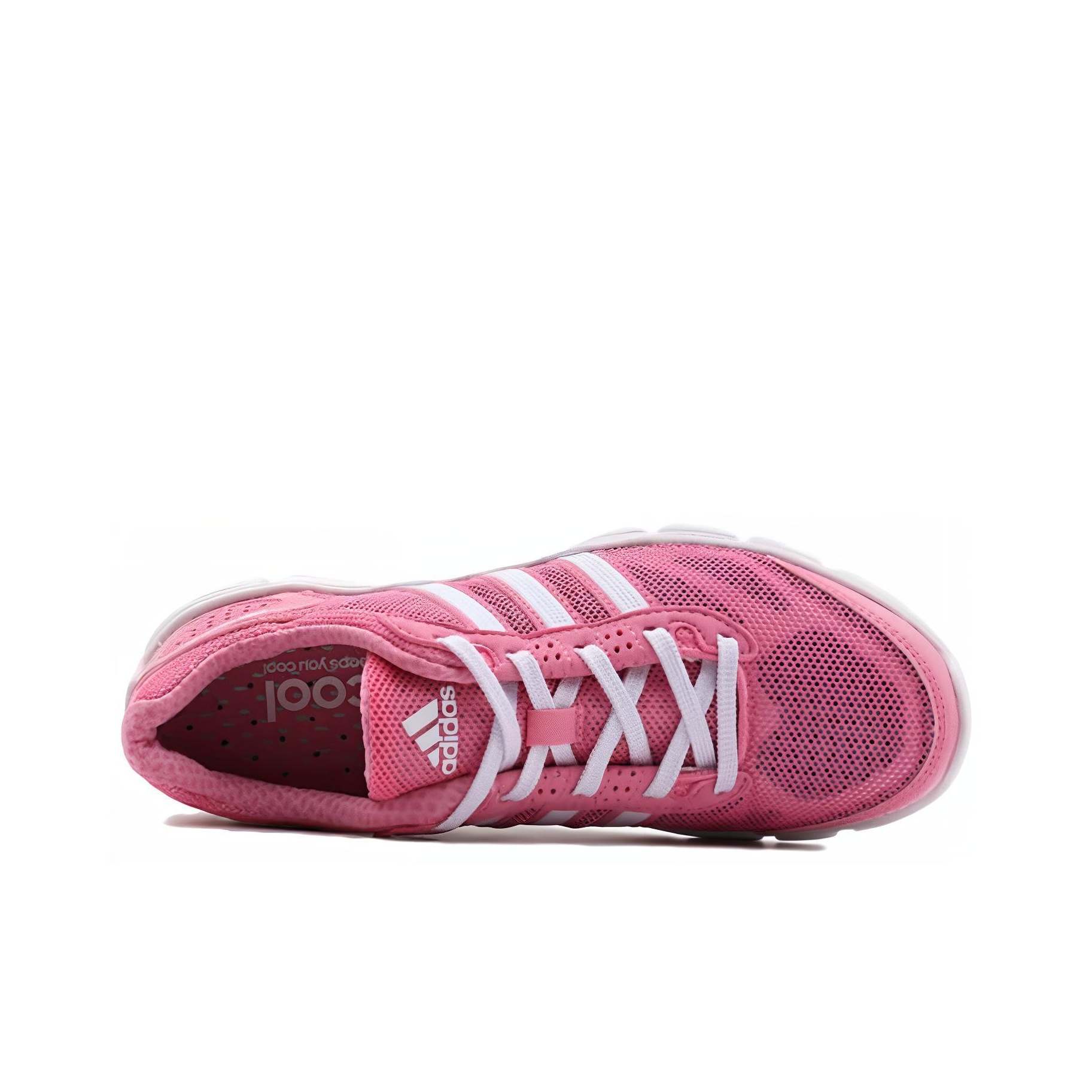 adidas climacool rosa