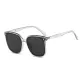 Transparent Gray Frame with Black Lens