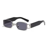 Silver Frame with Gray Lens