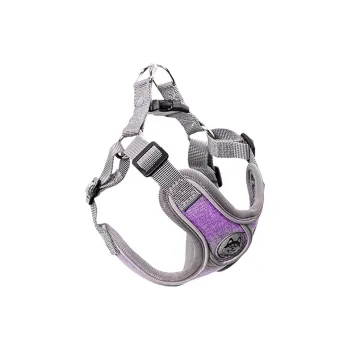 Kimpets Leashes