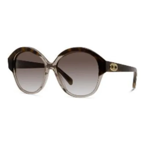 CELINE Browline Sunglasses Women's Brown