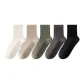 Raw White _ Light Khaki _ Pine Green _ Dark Gray _ Black