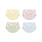 4-Pack[Yellow+Pink+Green+Blue]