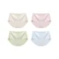 4-Pack[Tea Brown+Pink+Green+Blue]