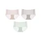 3-Pack Set: Light Pink+Lotus Root Powder+Light Green