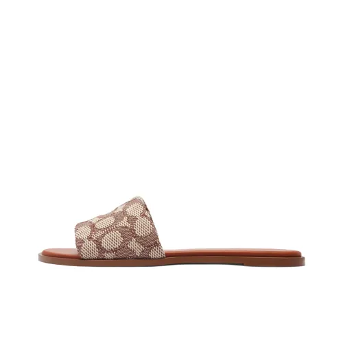 COACH Slide Slippers Women's Brown