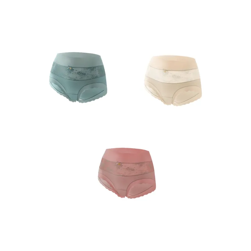 GOSO Underpants Women's Combo Set-2