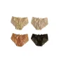 Light Yellow+Ecru+Light Brown+Black (4-2)