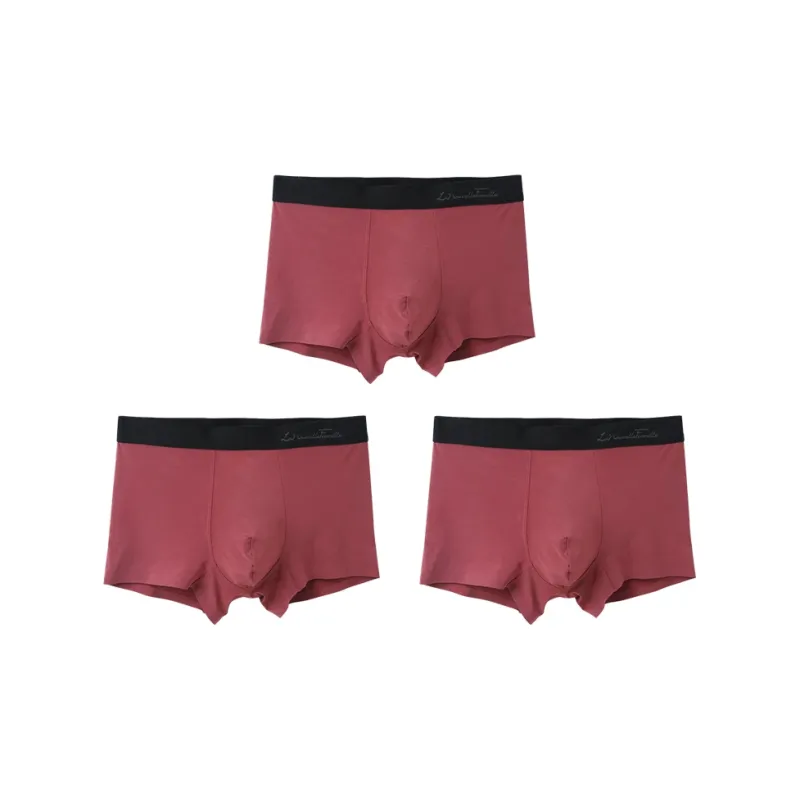 The New Age Family Underpants Men's 4 Pack-8