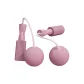 Pink Oversized Ball 65MM