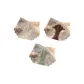 Ivory+Brown+Light Green (3-2)