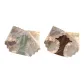 Light Green+Brown (2-1)