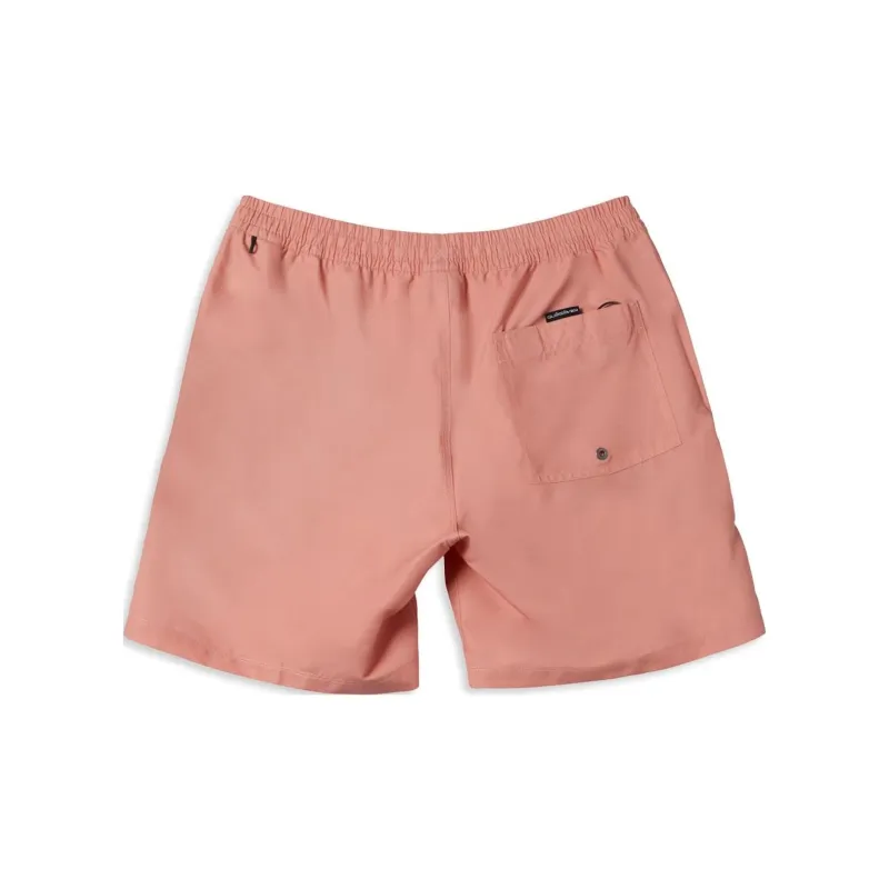 Quiksilver Casual Shorts Men's Cinnamon Powders-1