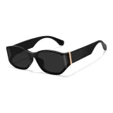 Black Frame with Gray Black Lens