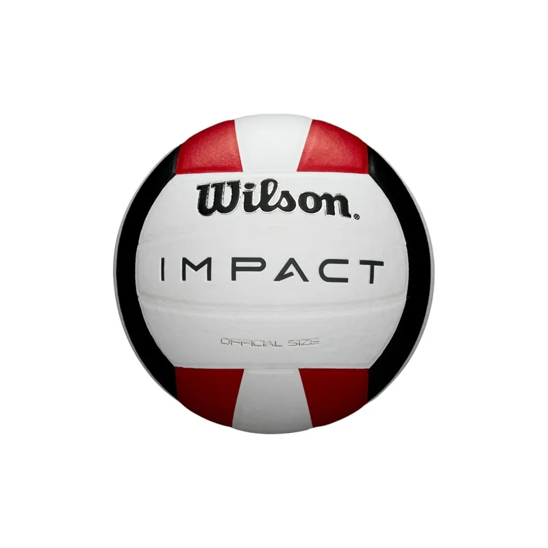 Wilson Volleyball-0