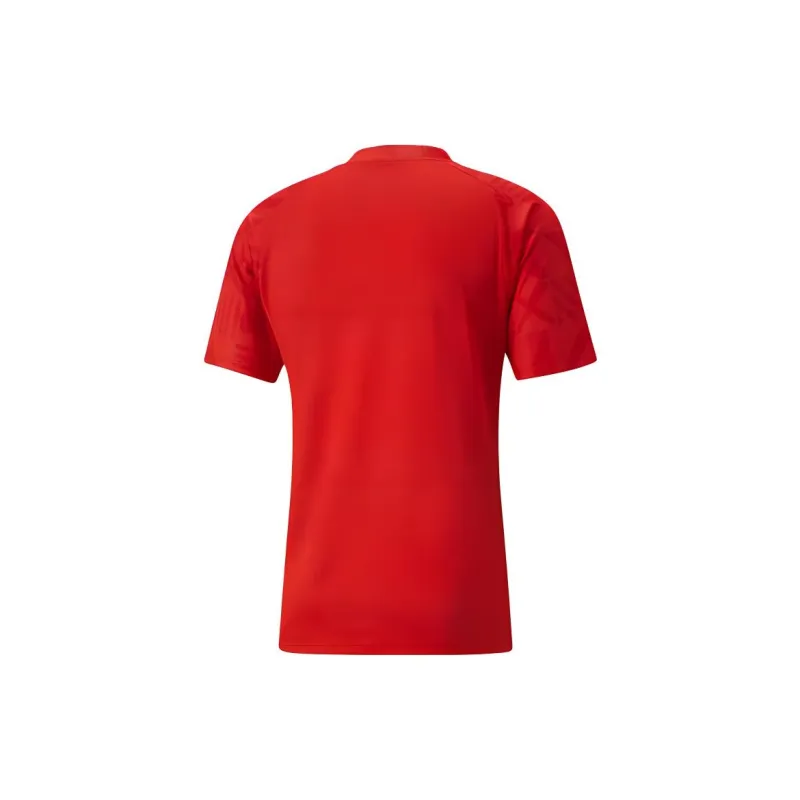PUMA Ghana Football Pre-match Jersey Soccer Jerseys Men's Pinma Red-1