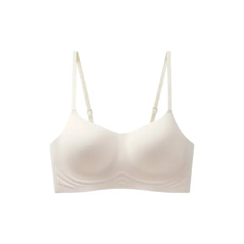 Lanza Women's Bras