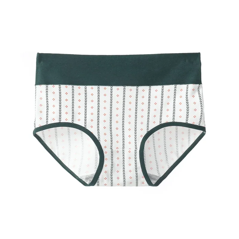 Lanza Underpants Women's 4 Pack Mixed Color-8