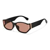 Black Frame with Tea Brown Lens