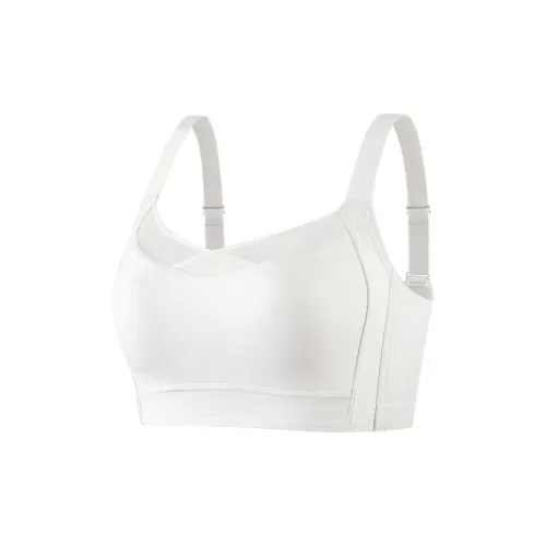 Anna Sweet Talks Women's Bras