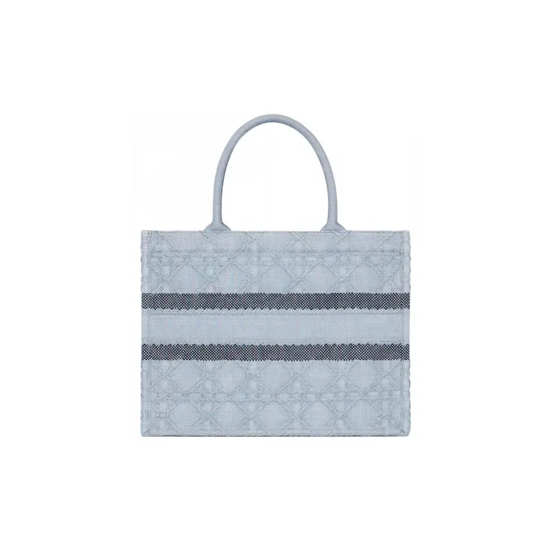DIOR BookTote Raffia Grass Tote Bag, Shopping Bag, Handbag Medium Size Women's Sky Blue-2