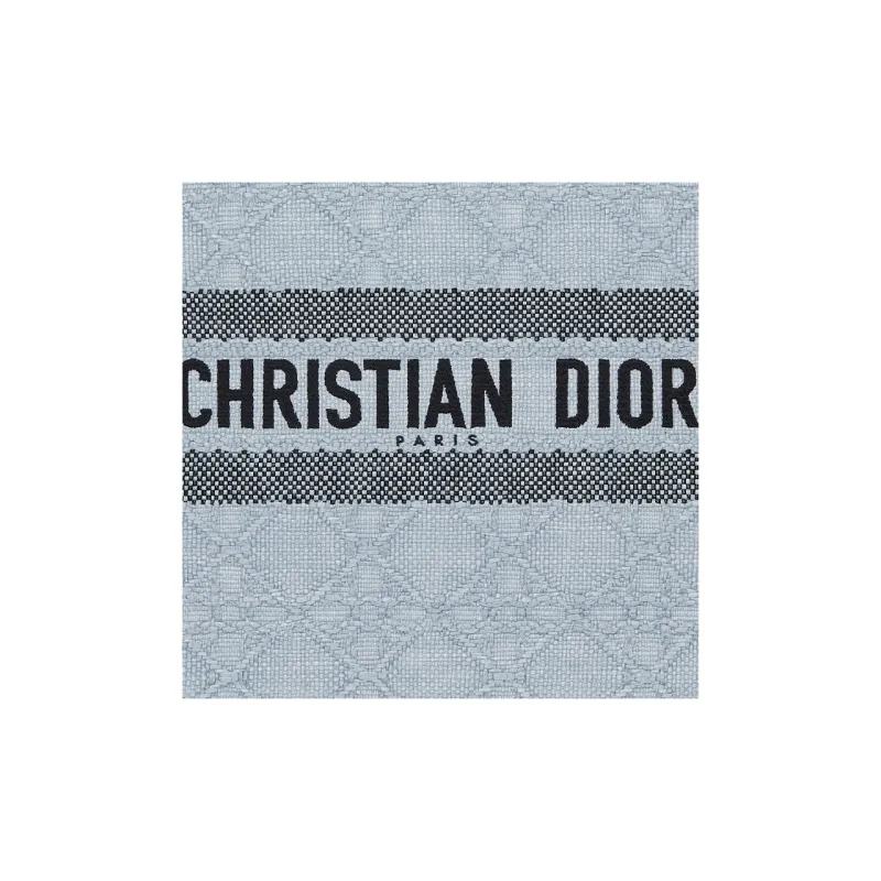 DIOR BookTote Raffia Grass Tote Bag, Shopping Bag, Handbag Medium Size Women's Sky Blue-4