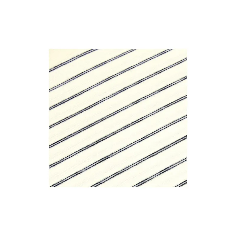 CELINE Regular Triomphe T Shirt In Striped Jersey-6