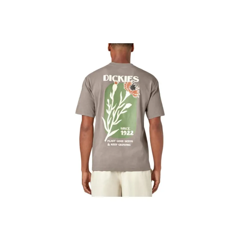 Dickies T-Shirts Men Gray-1