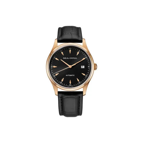 Sea Gull Automatic Mechanical Movement Genuine Leather Strap Watch Men's Watches Black Dial