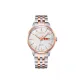 Rose Gold Watch Case