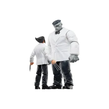 Hasbro Marvel Legends Action Figures