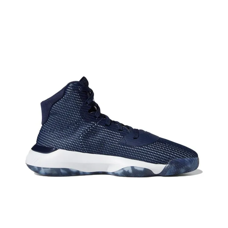 Adidas Pro Bounce 2019 Collegiate Navy Cloud White-1