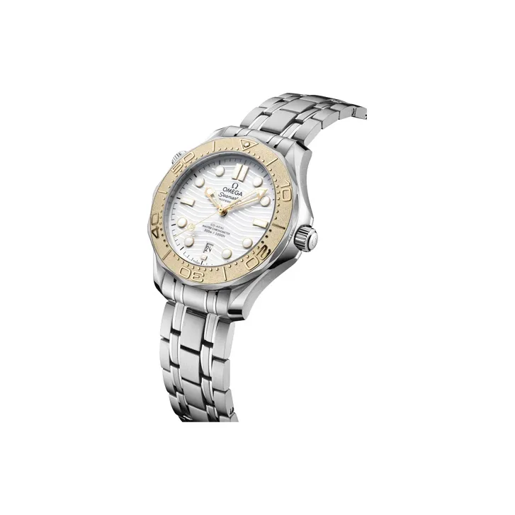 OMEGA Men Seahorse Series 300m Diving Watch Watch-1
