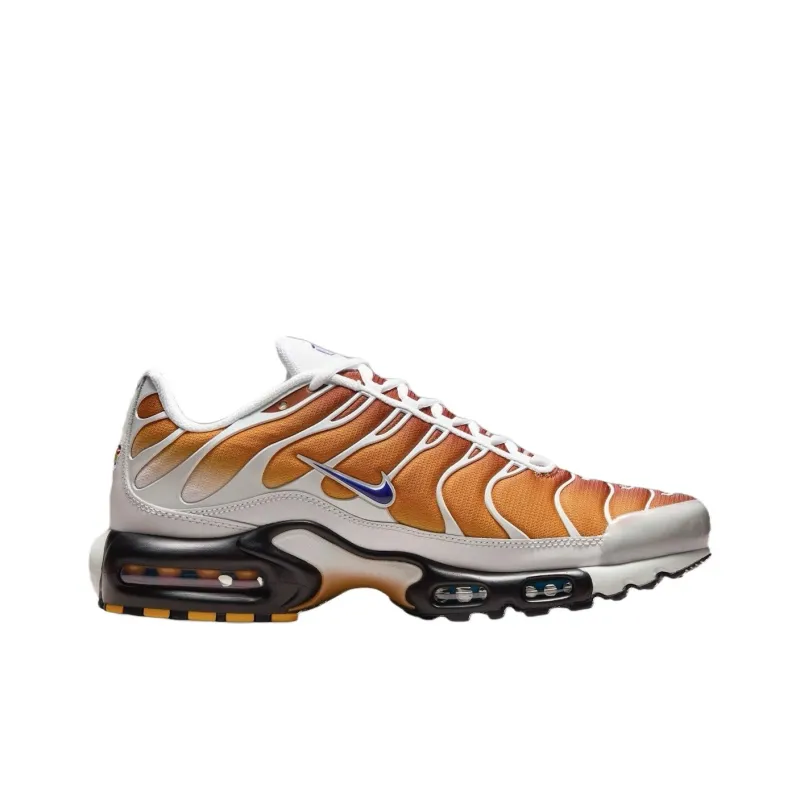 Nike Air Max Plus One Block Down Chutney-1