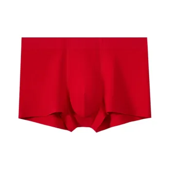 Icolor Underpants Men's Combo Set