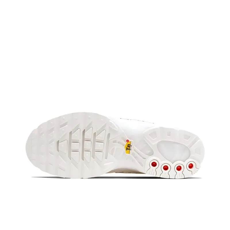 Nike Air Max Plus Phantom Silver Women's-3