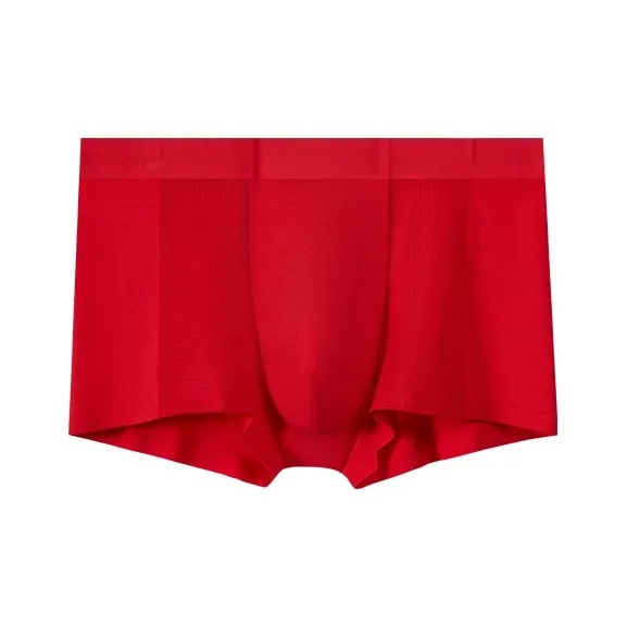 Icolor Underpants Men's Combo Set-2