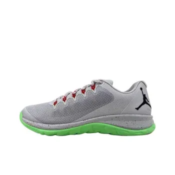 JORDAN Flight Runner 2 Grey Mist