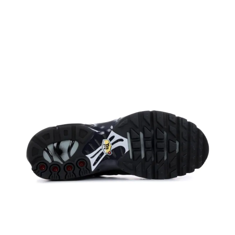 Nike Air Max Plus Black Pure Platinum GS-4