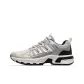 Silver Gray