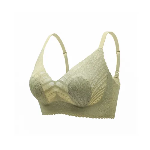 Lanza Women's Bras