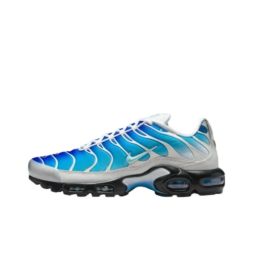 Nike Air Max Plus Casual Shoes Men Low-Top Blue