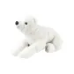 Polar Bear 60 Cm