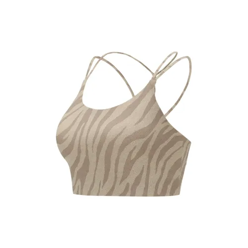 Particle Fever Sports Underwear Women's Espresso Maker Zebra Print