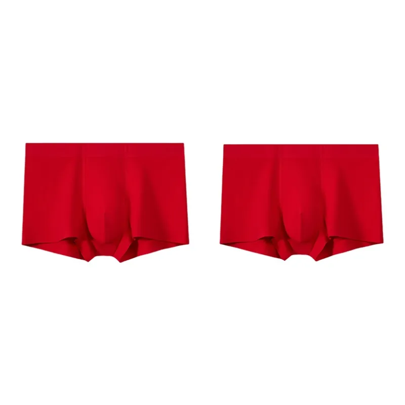 Icolor Underpants Men's Combo Set-5